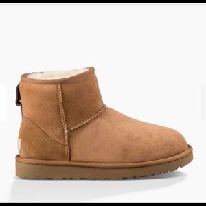 Classic mini ugg boot in chestnut size Women’s 5